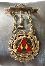 Vintage Order Of The Amaranth 10K Past Royal Patron Gavel Clasp Jewel Pin LGB 5G picture