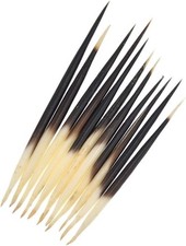 10Pcs Porcupine Quills Hair Stick Indian Crafts Accessories Fishing Buoy DIY Sew picture