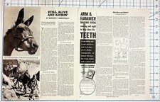1944 Collier's Magazine Page WWII Army Mules Still Alive & Kickin' Ad picture