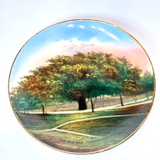 THOMASVILLE Big Oak GA GEORGIA Antique Souvenir China TRINKET DISH PLATE picture