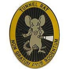 VIETNAM VETERAN TUNNEL RAT LAPEL PIN BADGE  picture