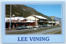 LEE VINING, California CA  ~ STREET SCENE Mono County, Market 4