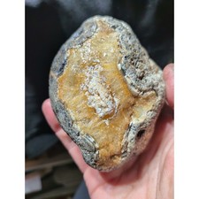 Montana Agate w/ Crystal Center & Banding Specimen Natural Form (1lb 2oz) picture