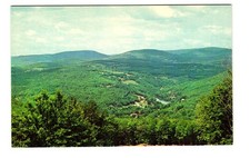 Mountain View Vintage postcard unposted picture