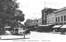 Magnolia Street View Ocala Florida FL - Reprint picture