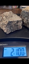 SALE 2lbs 10 ozs Turtilla Fossil  Lapidary Rough Stone Slab 2 lbs 10 ozs TF2 picture