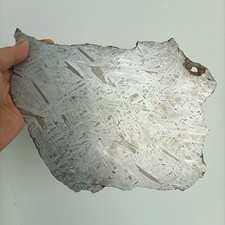 Natural Aletai Iron Meteorite 644.2 Grams Thin Cut Slabs Perfect Etch Fusion Cru picture