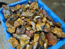 25lb Lots High Grade Rainbow Flint /Chert (0-3lb Chunks) *OHIO, USA* picture
