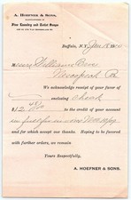 1910 A. Hoefner & Sons Buffalo NY Soap Mfg Receipt picture