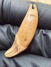 Tomachee Artifacts 👣 ESKIMO INUITS TOOTH AMULET PENDANT BERING SEA AK🔥 picture