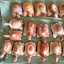wholesale 5pcs Natural Meat Pork Stone hand Carving Turtle specimen picture