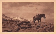 Longs Peak Rocky Mountains Colorado Horse Ride Enos Mills Sepia photograph 22A picture
