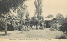 Pennellwood Cottages Berrien Springs MI Vintage Postcard C.R. Childs c1910 picture
