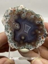 Coyamito Orbicular Agate From Chihuahua, Mexico. Mirror Polished Mexico picture