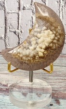 🌙 Rare Crescent Moon-Shaped Polished Ammonite Fossil Botryoidal Mineralization picture