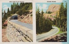 Big Oak Flat Road Tioga Road California Linen Vintage Post Card picture
