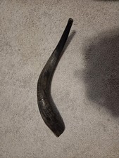 [Rare/Good Price]Shofar Yemenite Kudu Horn 16